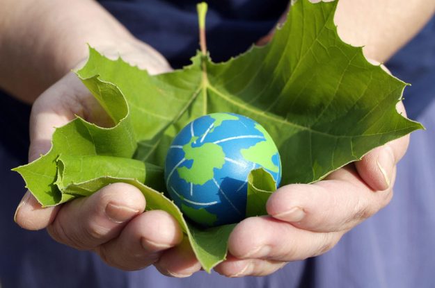 Eco portrays the water throughout a completing surprise